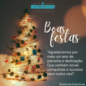 Leia mais sobre o artigo Boas festas